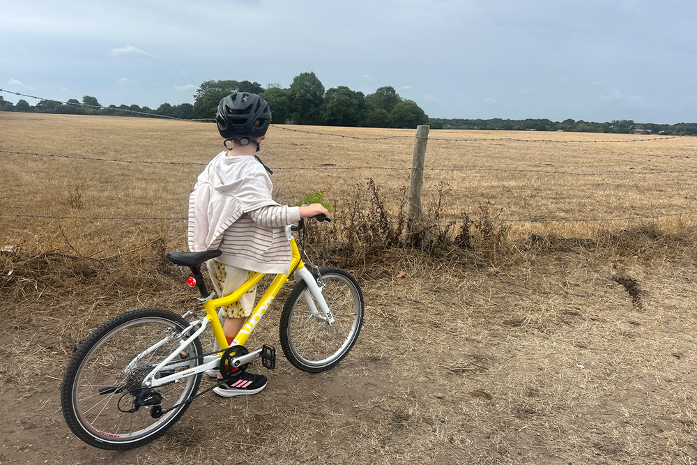 The brakes and gears are easy to use (Kayleigh Rattle/The Independent)