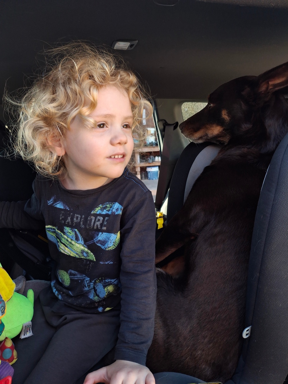 Gus Lamont's parents said he was a “beautiful, sweet and unique little boy” (South Australia Police)