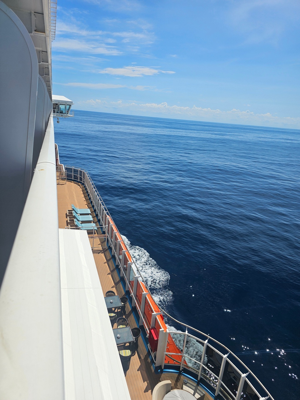 The Carnival Panorama was on a seven-day cruise when a passenger went overboard (Tommy McGraw)
