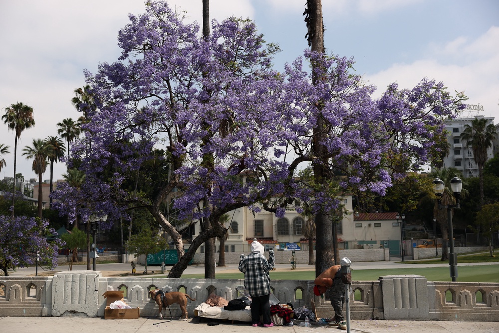 MacArthur Park has become a particularly loaded setting in Los Angeles, after years of problems with drug use, overdoses, gang activity, and homelessness (AFP/Getty)