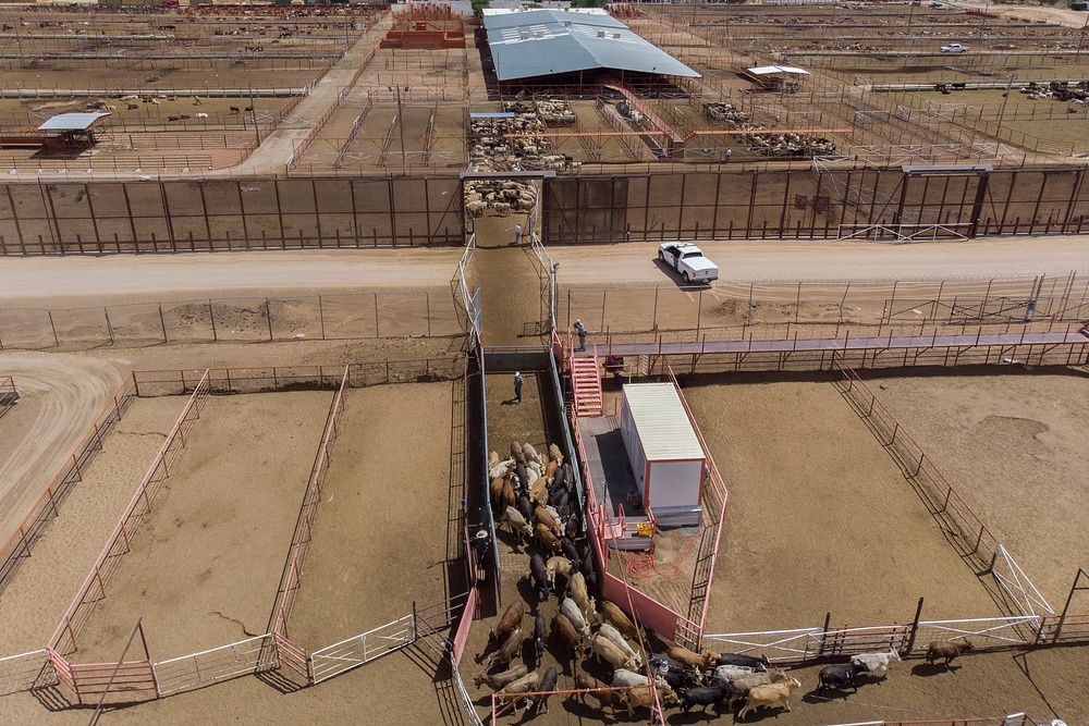 Part of a border wall between the US and Mexico (Getty)