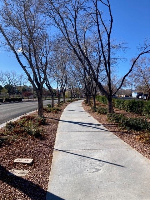 The city plans to remove grass in unusable areas like parking lots from 15 parks, officials sai (Laura McSwain)