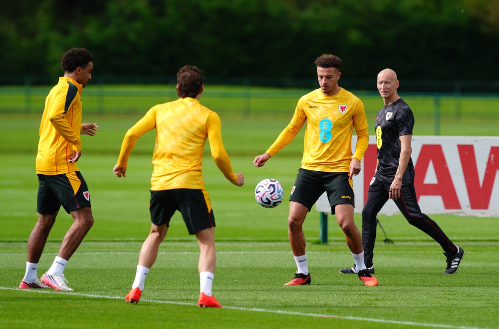 Wales have a few injuries to deal with (PA)