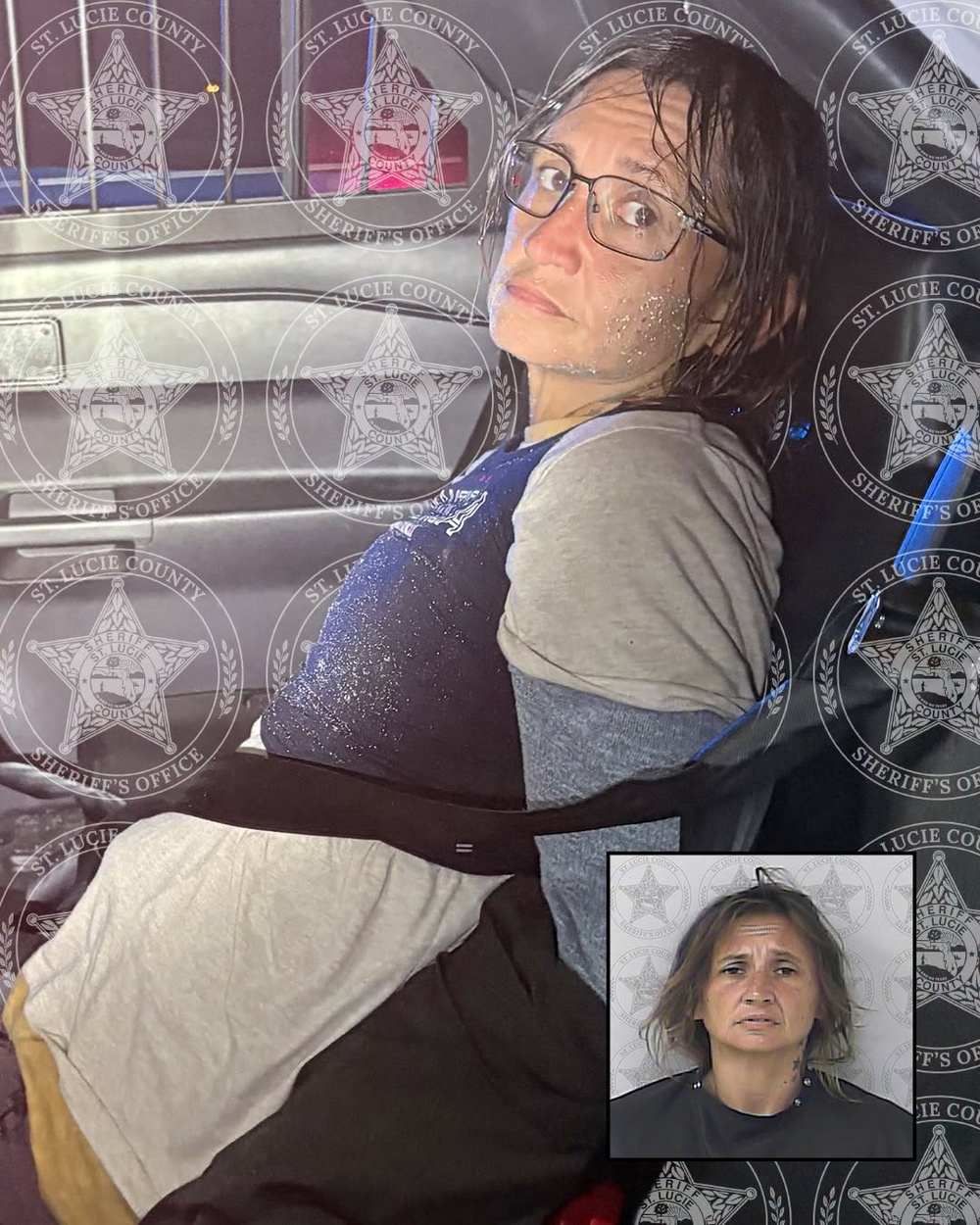 Shannon Marie Dillon, 42, allegedly stole a Broward Sheriff’s Office cruiser in Fort Lauderdale and was found wearing a BSO vest after driving it nearly 100 miles north to St. Lucie County (St. Lucie County Sheriff’s Office)