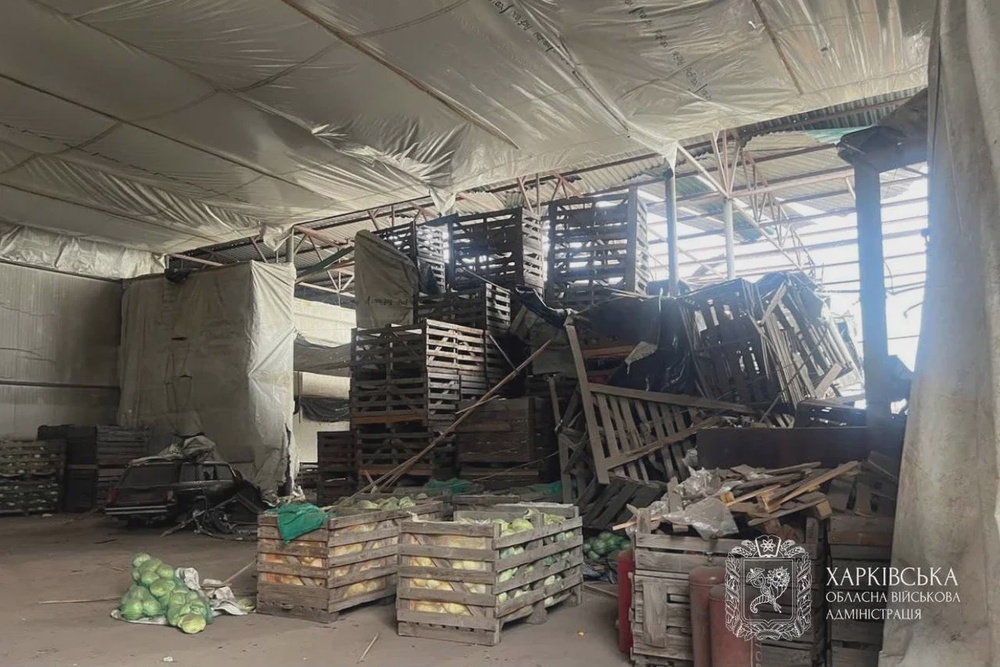 Four women and two men were among the dead at the farm (Kharkiv police)