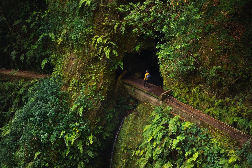 Levadas are structures unique to the island (Getty Images / iStockPhoto)