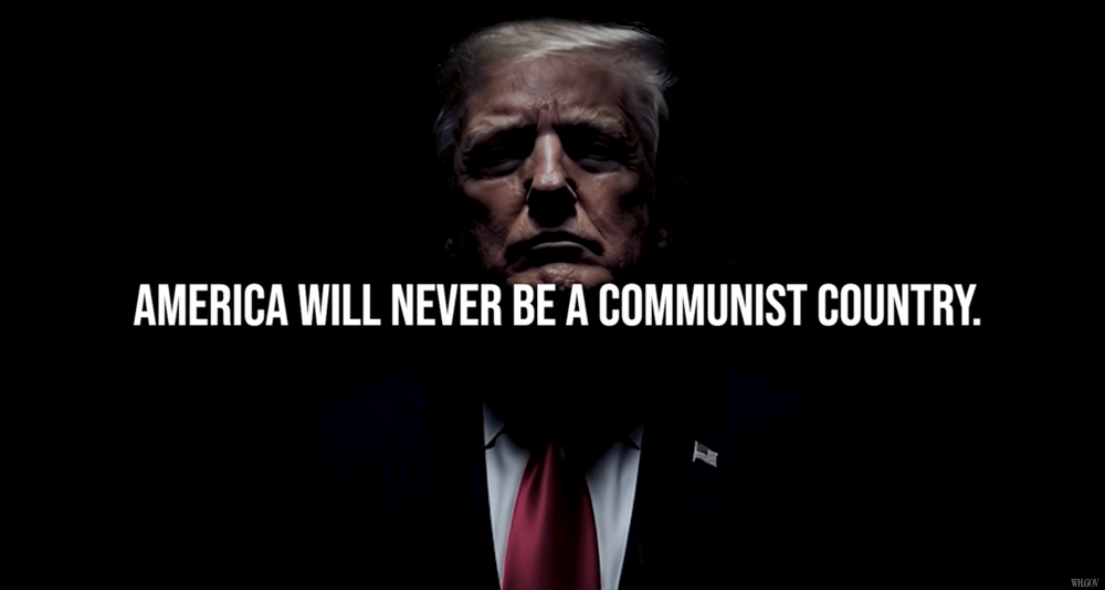 The president personally ‘orchestrated’ the ads, created in-house by the White House communications team, according to CNN, citing people familiar with the matter (The White House)