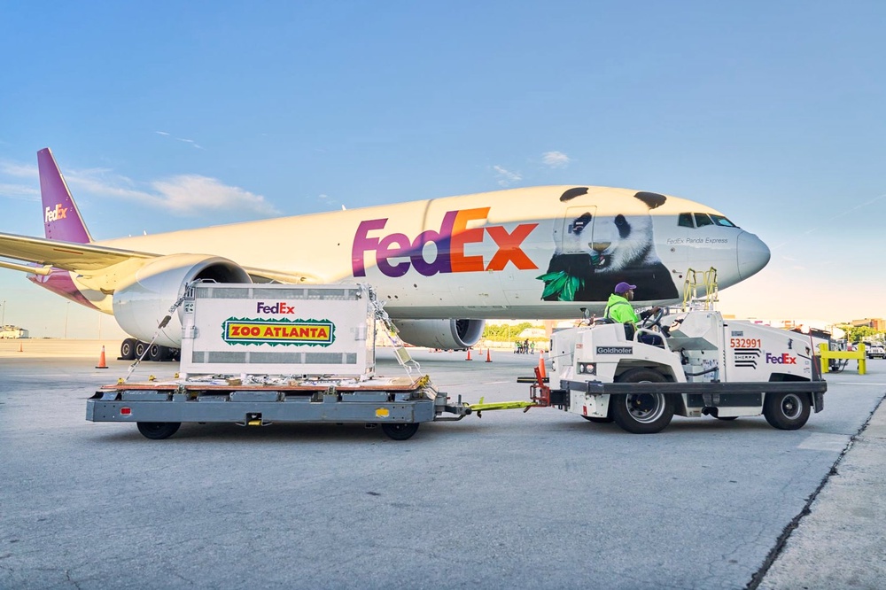 The two bears traveled via the FedEx Panda Express plane (AP)
