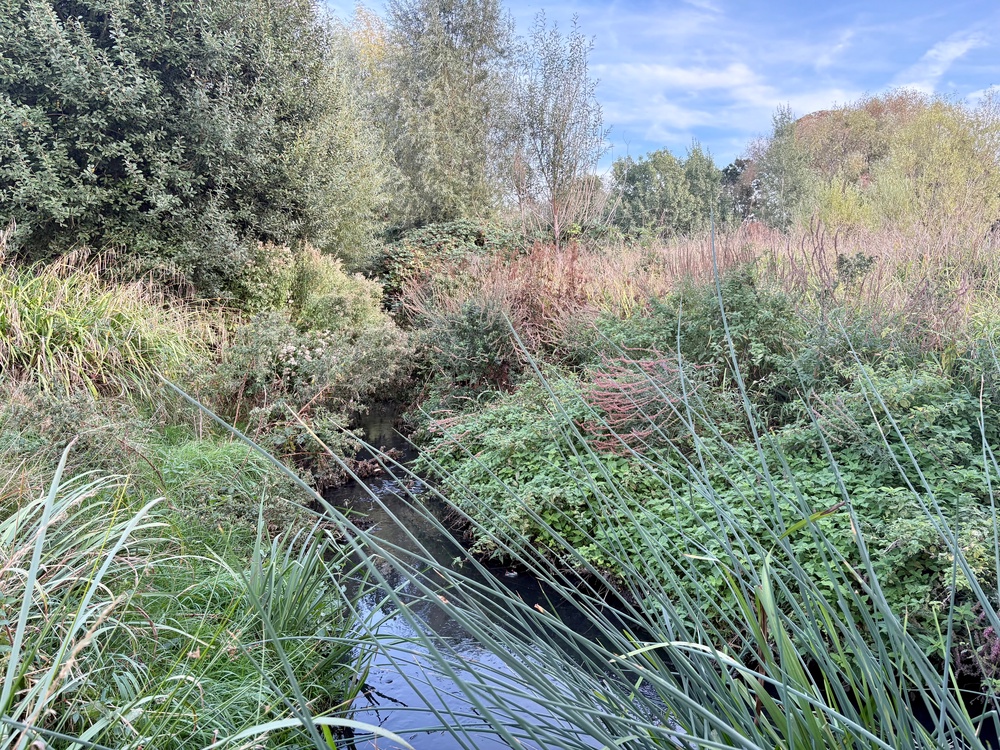 Conservation work at Lordship Rec has included restoring the river (Emily Beament/PA)