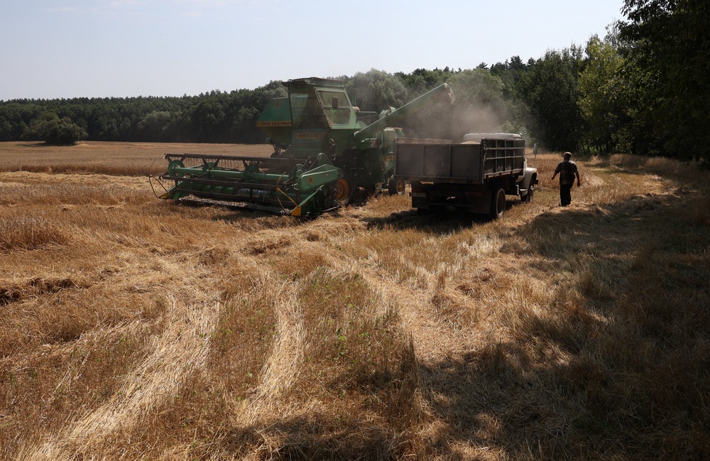 Ukrainian seaborne grain exports have fallen an astonishing 75 per cent year-on-year from last August after months of targeted strikes. Kyiv says the trend threatens $40bn in export revenue, or 1.5 per cent of GDP. (Kyiv harvest in 2024 pictured) (AFP/Getty)
