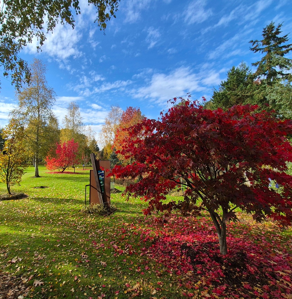 (RHS Partner Garden/Bluebell Arboretum/PA)