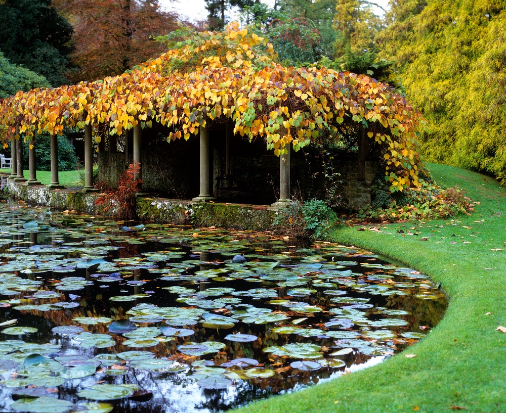 (Leigh Clapp/National Garden Scheme/PA)