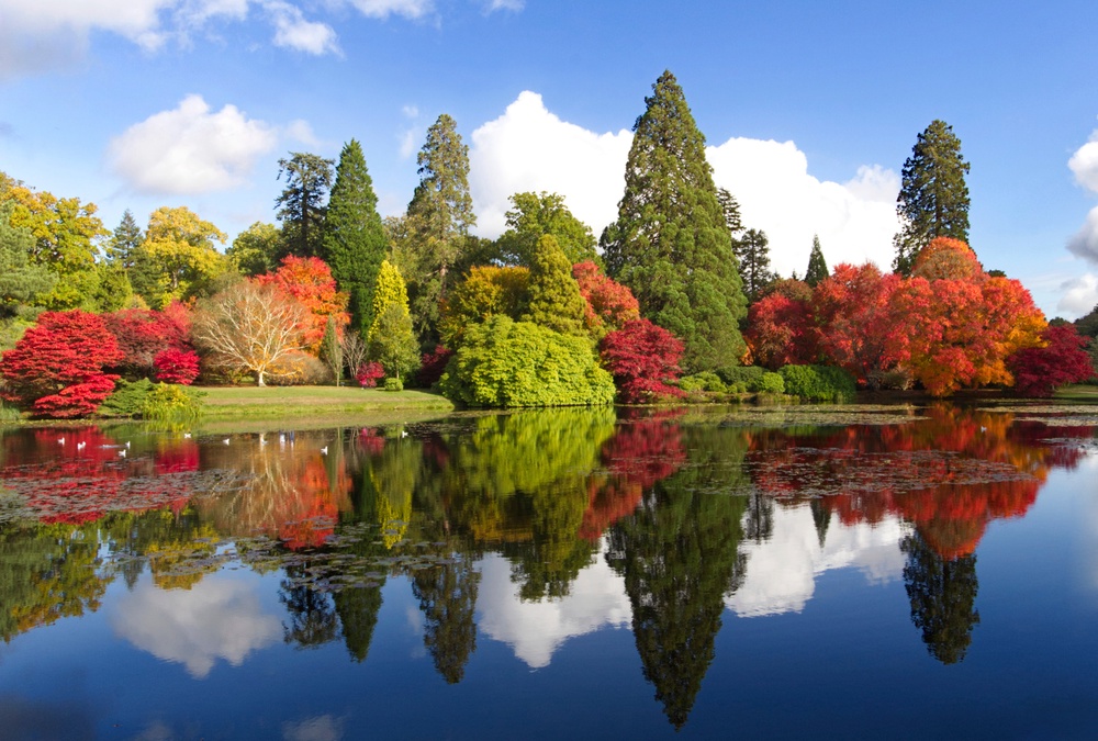 (Laurence Perry/National Trust Images/PA)