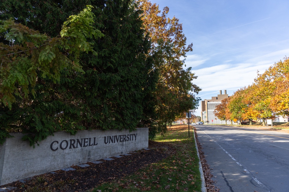 An alleged gang rape at a frat house in 2024 is once again roiling the Cornell campus in Upstate New York (Getty Images)