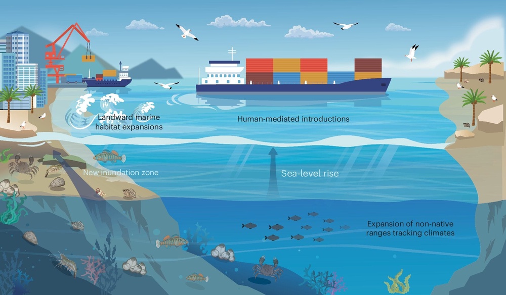 Three fundamental pathways for biological invasions (Nature Ecology & Evolution 2026)