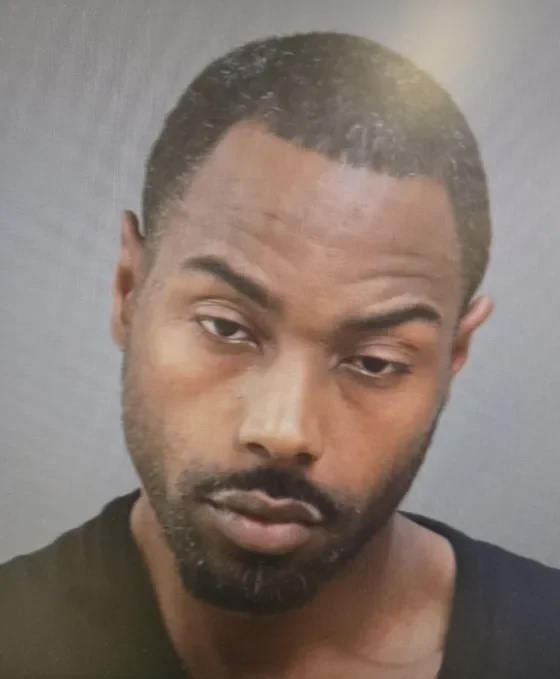 Zarick Lamont Johnson, 41, of Detroit, was charged with first-degree murder after allegedly running over flea market vendor Mirhad Cehic, 59, twice during a dispute over a power washer Johnson said did not work (Macomb County Prosecutor’s Office)