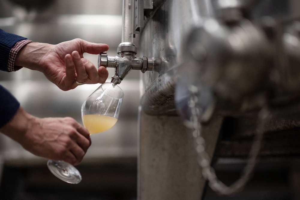 Gusbourne Estate's chief winemaker Charlie Holland extracts grape juice from a fermentation vessel (AFP via Getty Images)