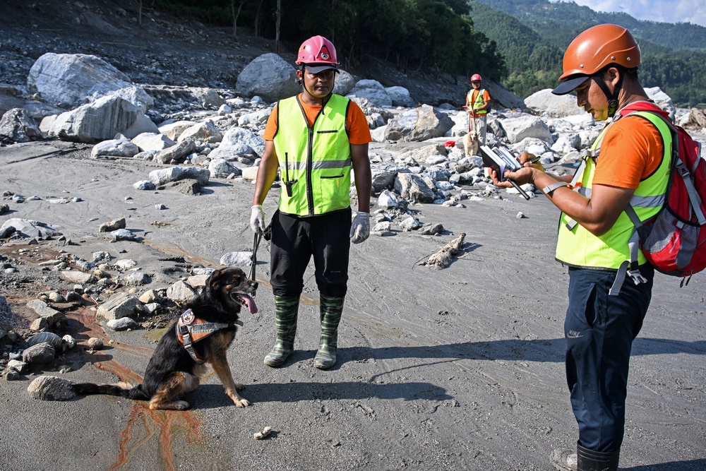 Search and rescue team members, along with sniffer dogs, search for victims following the flash floods on the bank of the Trishuli river in Nuwakot on 30 September 2026 (AFP/Getty)