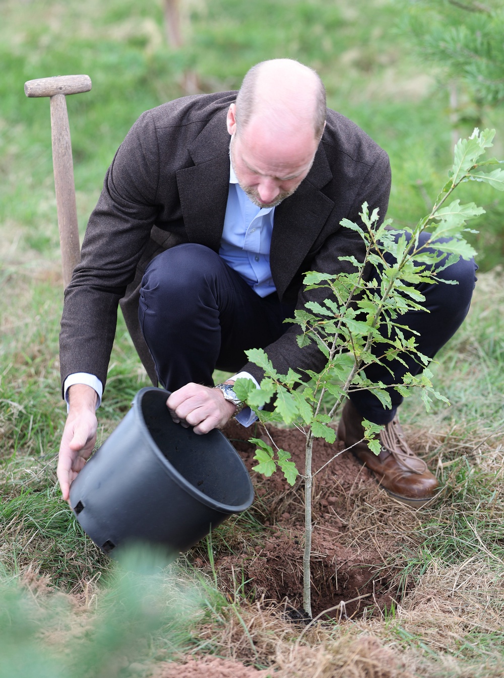 The Prince of Wales planting a sessile oak, the national tree of Wales (Chris Jackson/PA) (PA Wire)