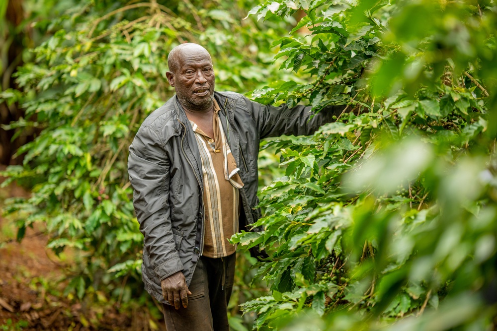 Peter Njiraine has built terraces to protect his coffee farm from soil erosion caused by flooding. (Anthony Odamo/Fairtrade)
