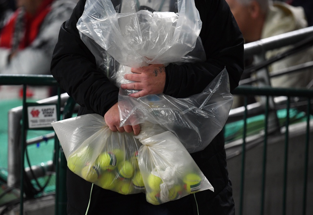 Tennis balls featuring the Palestinian flag were throw onto the pitch during Ireland v Austria (Getty)