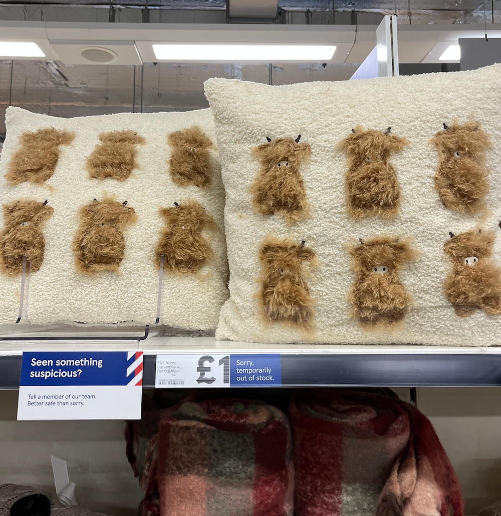 Milking it: fluffy Highland-themed cushions in my local Tesco (Katie Rosseinsky)