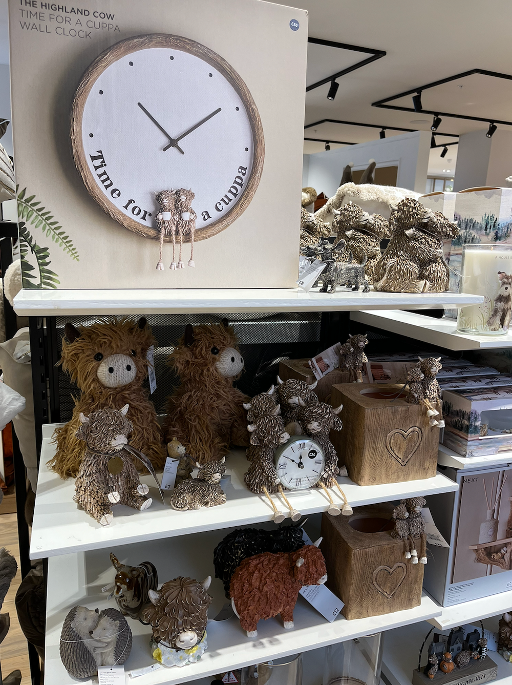 Home is where the herd is: just a small sampling of the Highland cow-themed knick-knacks on offer at Next (Katie Rosseinsky)