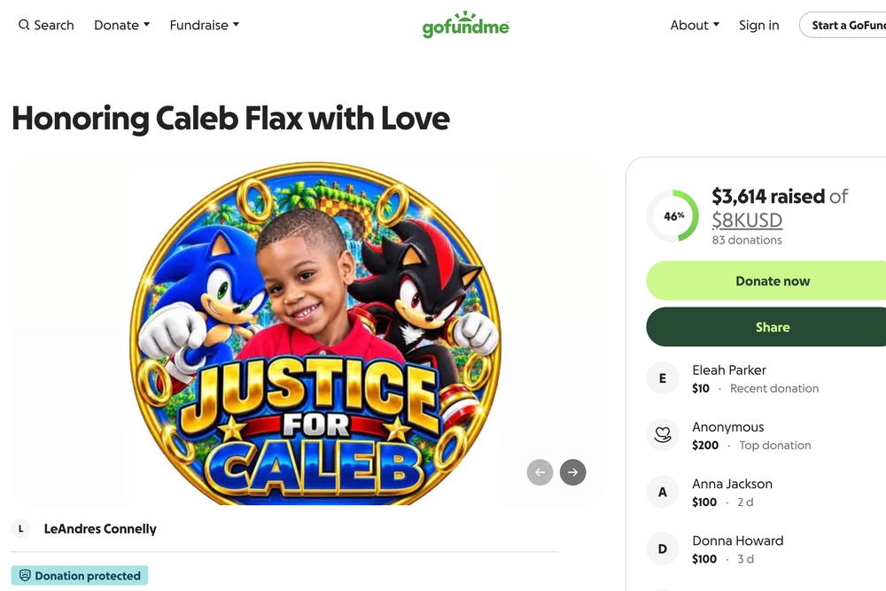 A GoFundMe page has been set up to support the boy's grieving mother Bryanna Flax (GoFundMe)