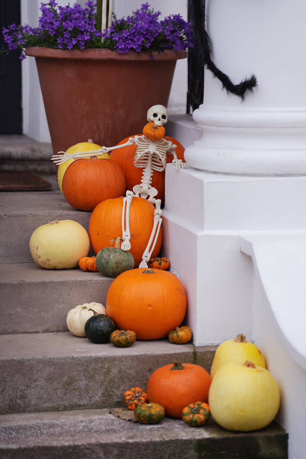 Halloween will be pleased to hear that pumpkins have been doing well (Yui Mok/PA) (PA Archive)