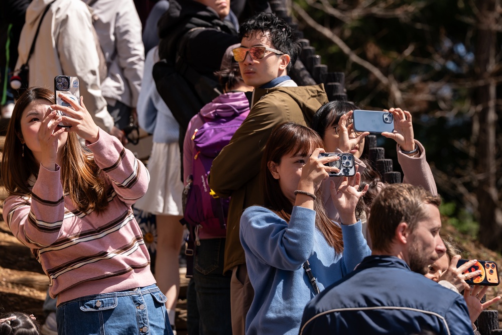 File. Tourists use smartphones to take photographs of cherry trees in bloom at Arakurayama Sengen Park on 8  April 2026 in Fujiyoshida, Yamanashi Prefecture, Japan (Getty)