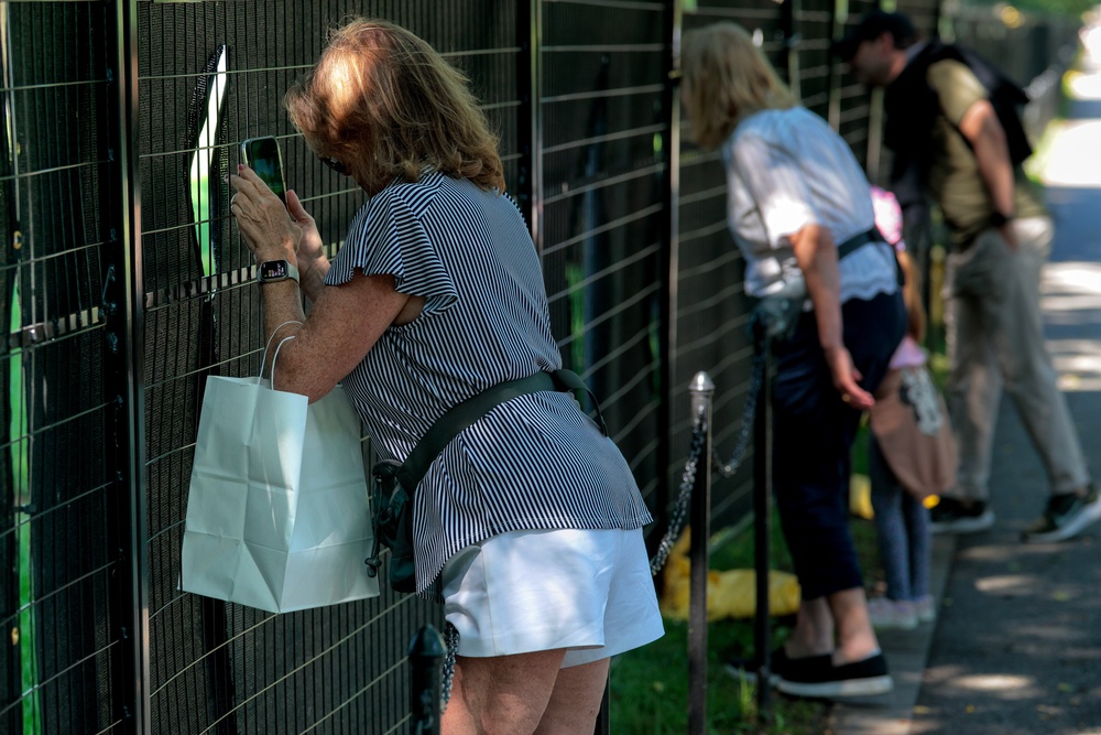 Visitors at the National Mall expressed mixed reactions to the project’s execution, with some lamenting the rapid timeline and others calling the rising costs a waste of taxpayer money (Getty)