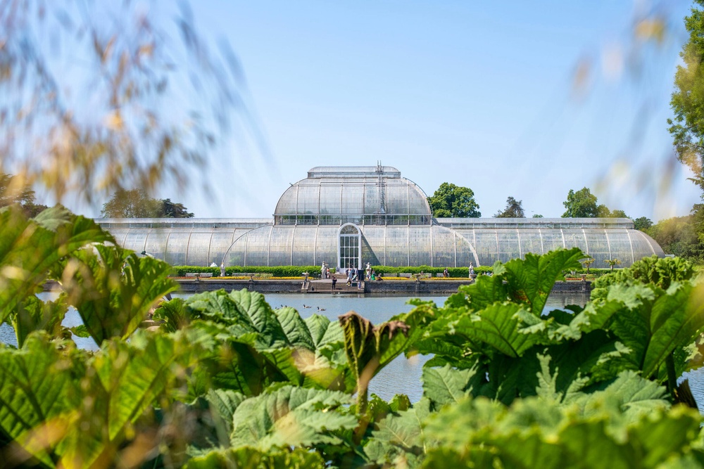 The Palm House is in line for a major renovation (PA)