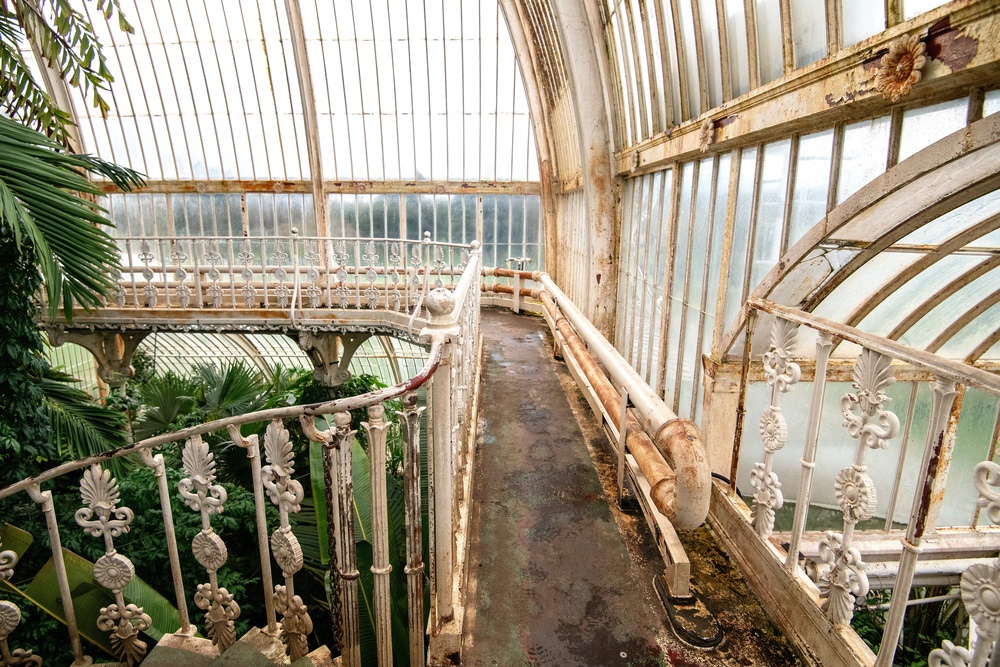 Rust on the balcony at the Palm House (PA)