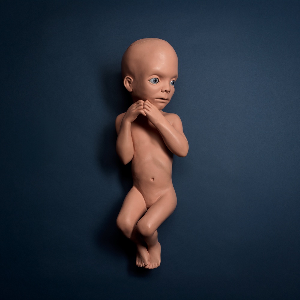 The Star Child will also be on sale (PA Wire)
