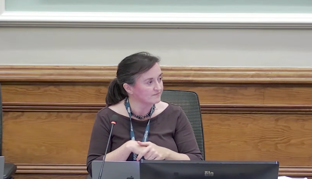 Council leader Sarah Wood doubled down on her defence of the comments on Tuesday (Kirklees Council)