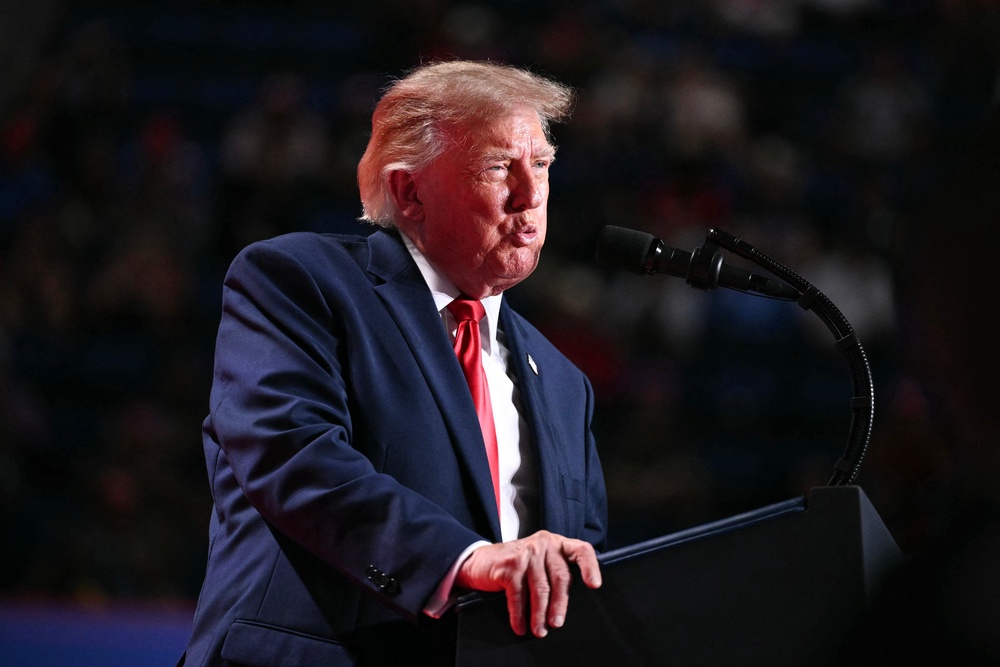 At one point, Trump claimed that a protester needed to ‘lose a lot of weight’ (AFP/Getty)
