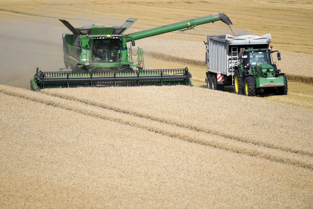 Wheat producers in northern Europe are particularly vulnerable to STB (Joe Giddens/PA) (PA Archive)
