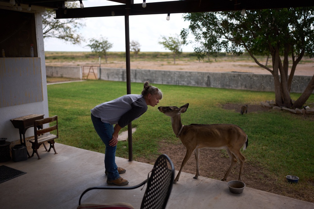 Laura Allen visits with a deer that regularly visits her home on her ranch, Friday, Sept. 25, 2026, in Comstock, Texas. (AP Photo/John Locher) (Copyright 2026 The Associated Press. All rights reserved.)