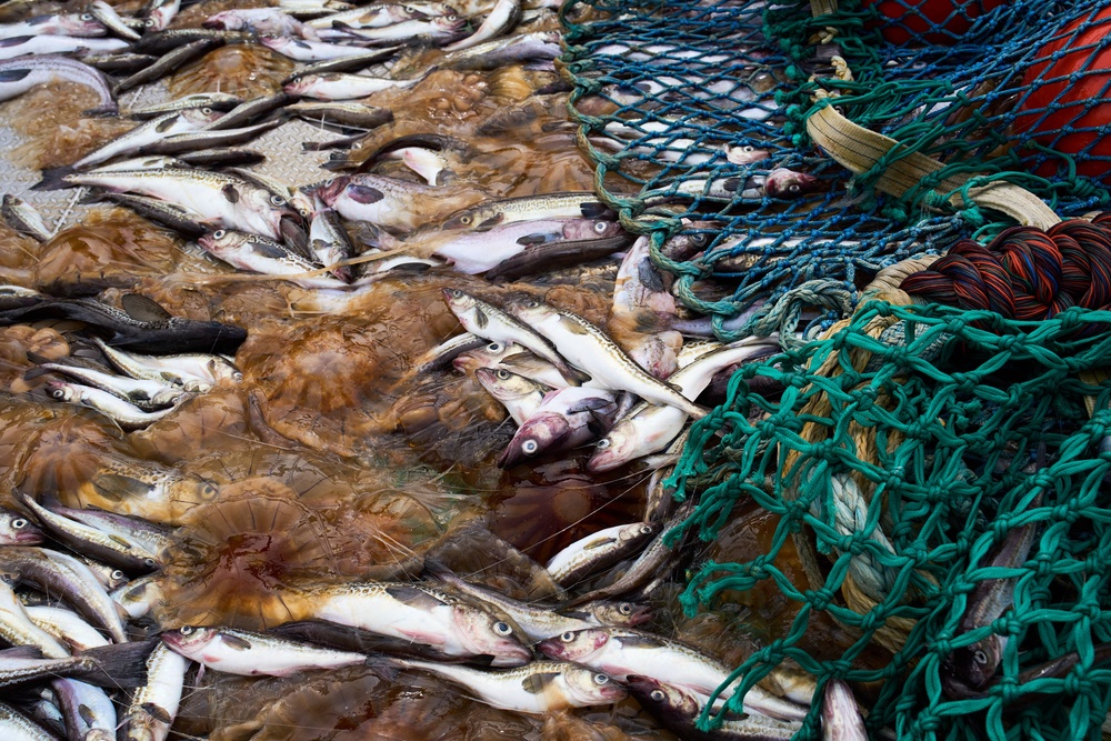 ‘We have this big void in our lives right now,’ said Brooke Woods, a Koyukon Alaska Native, mother of six and commissioner for the Yukon River Inter-Tribal Fish Commission (Copyright 2026 The Associated Press. All rights reserved)