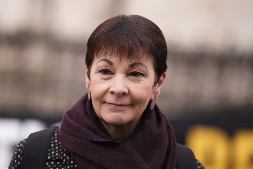 Former leader Caroline Lucas suggested there had been ‘entryism’ towards the party (Jordan Pettitt/PA) (PA Archive)