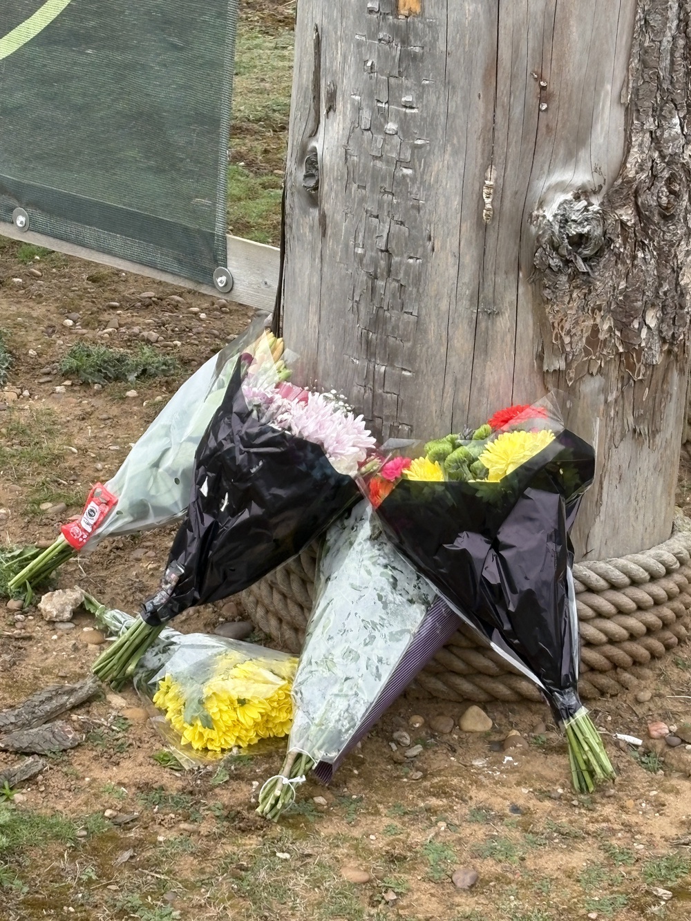 Flowers left at the entrance of Yorkshire Wildlife Park in Doncaster, where a man died after suffering serious injuries in a tiger enclosure (Dave Higgens/PA) (PA Wire)