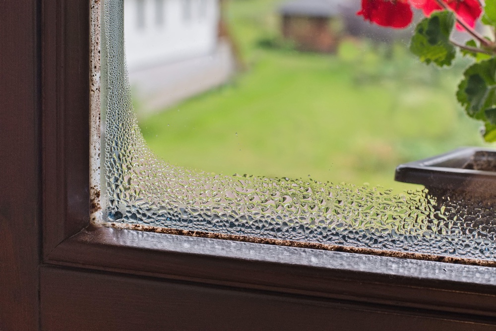 ‘Wipe away condensation when you see it, and pay particular attention to the corners of the frame,’ highlights Crombie (PA)