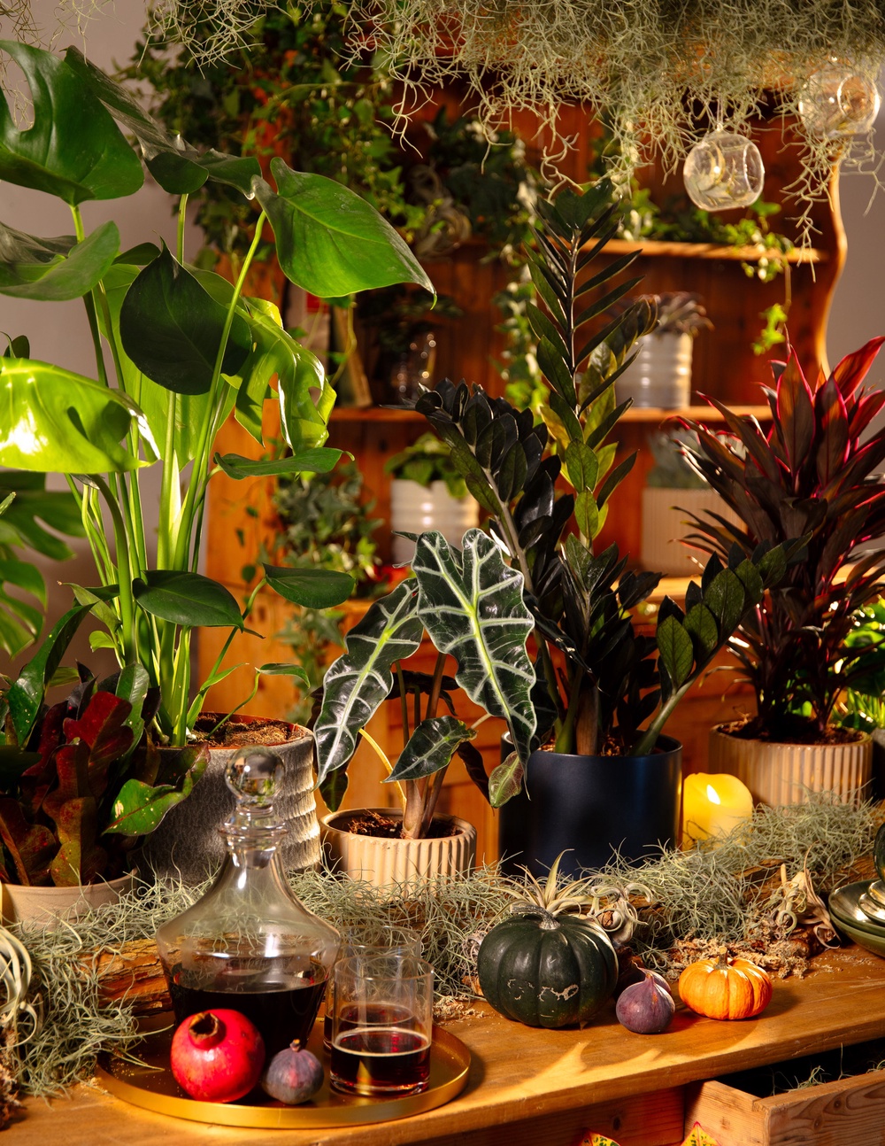 (Dobbies Garden Centres/PA)