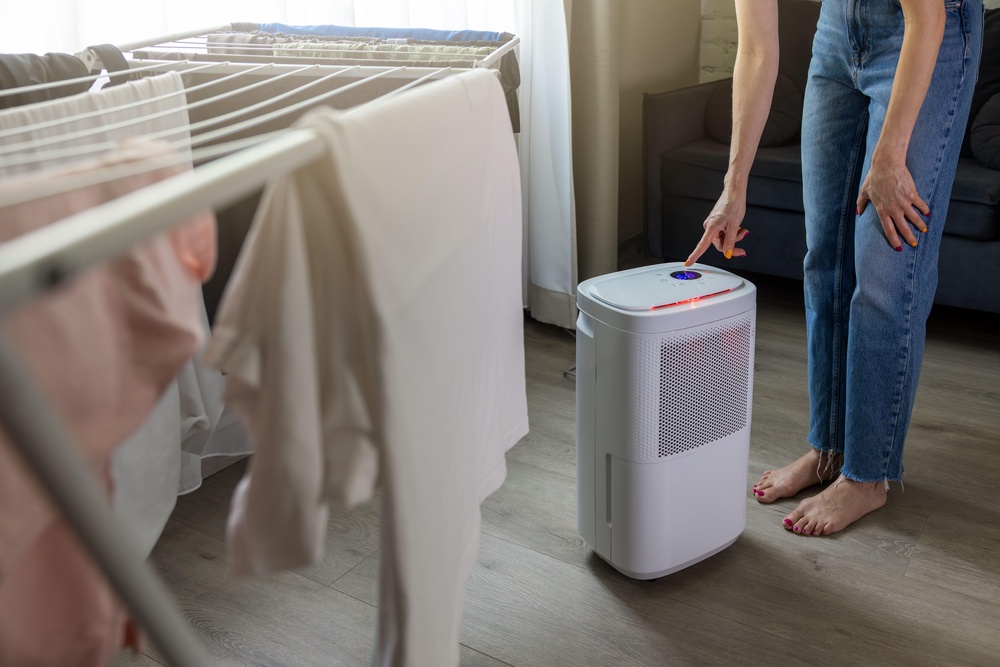 Dehumidifiers can help avoid mould and moisture (Alamy/PA)