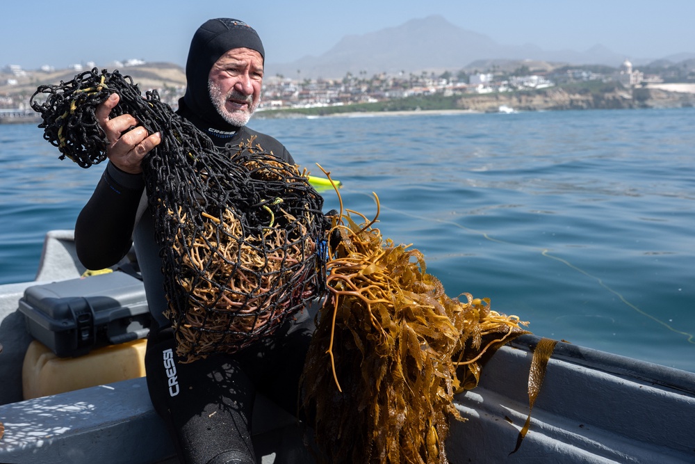 Marine ecology researcher Guillermo Torres prepares macroalgae for replanting as part of a restoration project on the Baja California Peninsula (AFP/Getty)