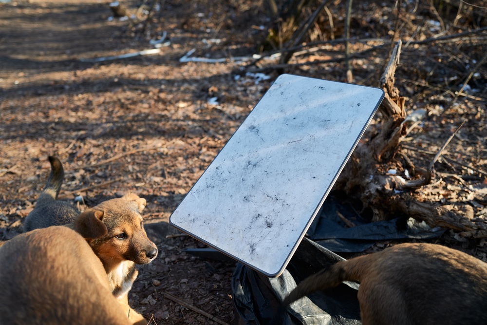 A Starlink device, connecting the brigade to the internet, pictured as Ukrainian servicemen operate howitzers near the fronline near Pokrovsk on 9 February 2025 (Getty)