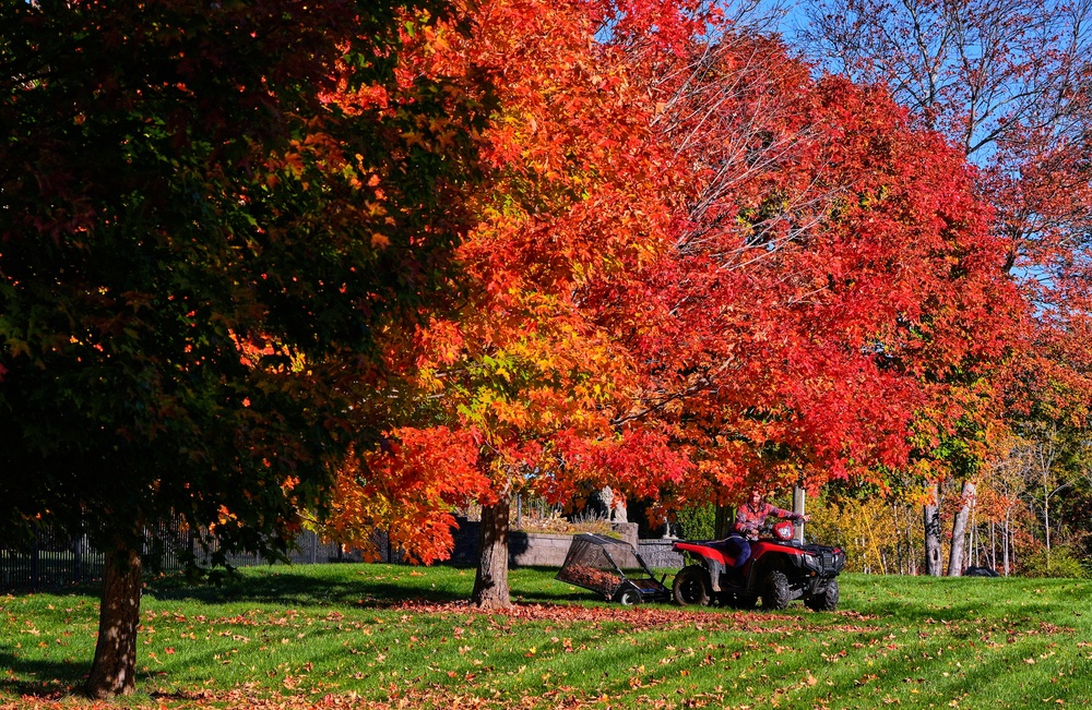 Lynne Gagnon clears fallen leaves before mowing her yard, Thursday, Oct. 15, 2026, in East Derry, N.H. (AP Photo/Charles Krupa)