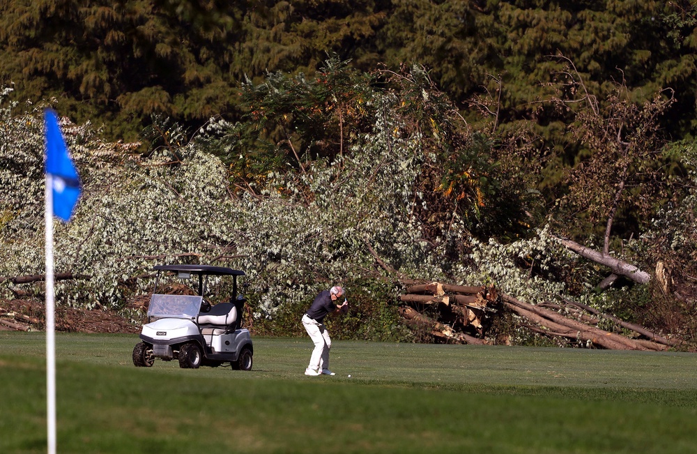 The court rebuked the government for initiating extensive tree removal over a holiday weekend while providing minimal notice to the court and the plaintiffs seeking to stop the makeover. (Getty)