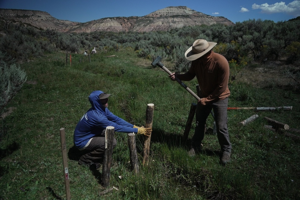 Workers build a beaver dam on Spring Creek, Thursday, Aug. 20, 2026, near Rock Springs, Wyo. (AP Photo/Brittany Peterson)