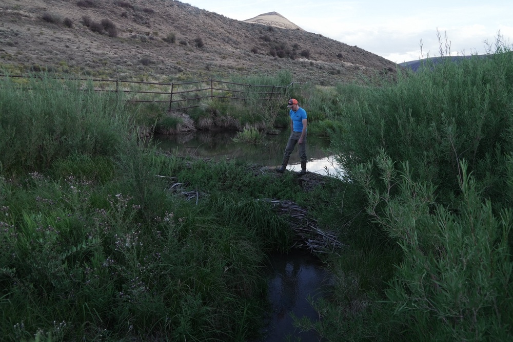Jackson Ramsey walks over a beaver dam on his property Friday, Aug. 19, 2026, near Rock Springs, Wyo. (AP Photo/Brittany Peterson)
